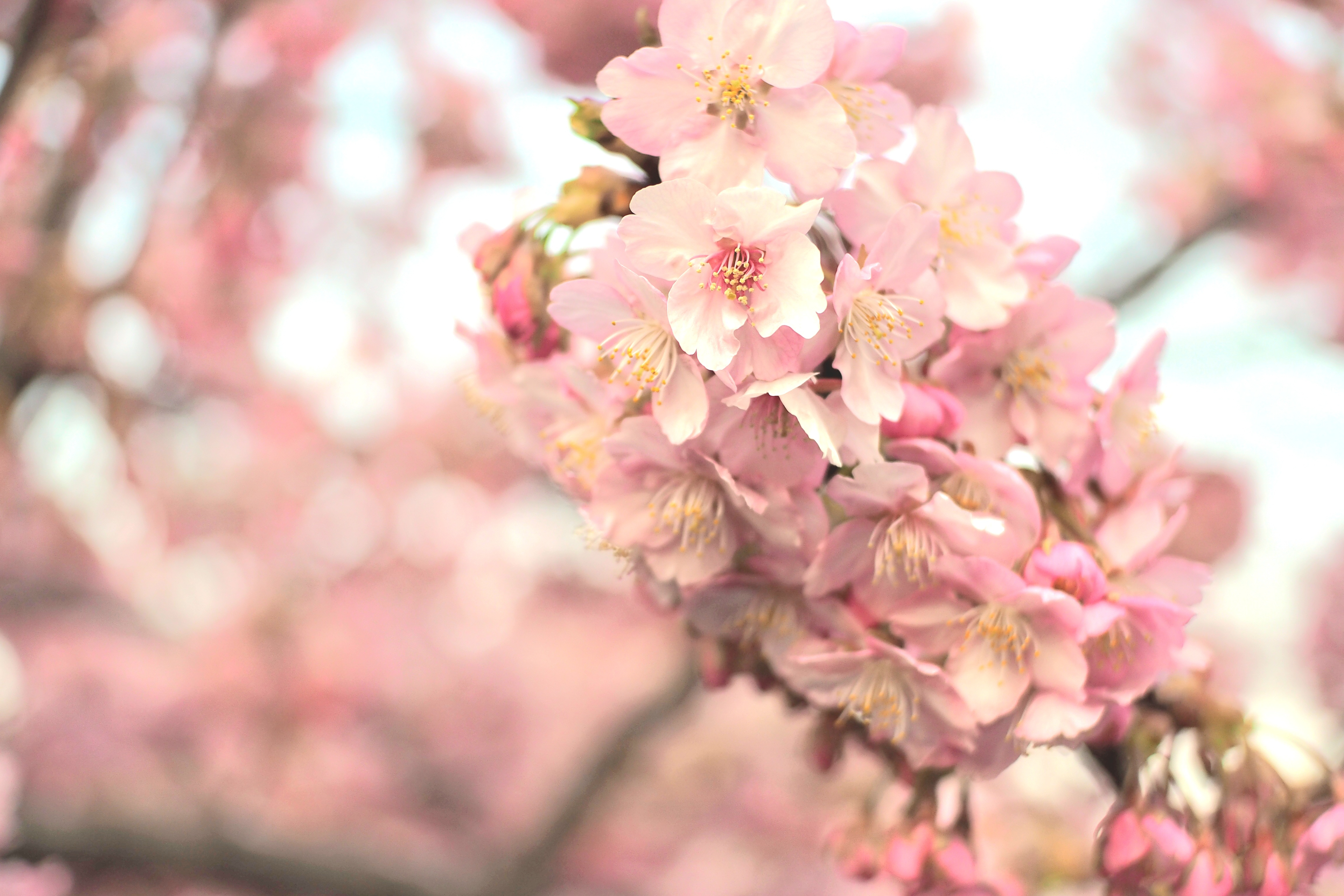 このスペースについて